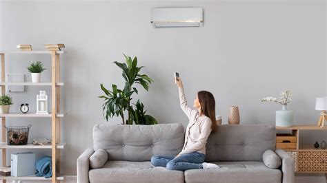 The Best Whole House Air Purifiers 2019 Howtohome