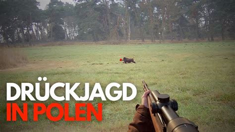 Beste Drückjagd in Polen Best driven hunt in Poland 2023 YouTube