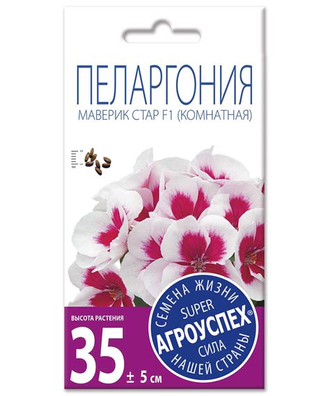 ЛцК/пеларгония Маверик Стар F1 *4шт - купить в Минске|по Беларуси с ...