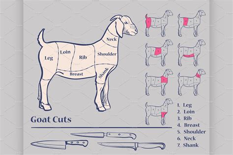 Goat meat cuts | Goat meat, Goats, Boer goats