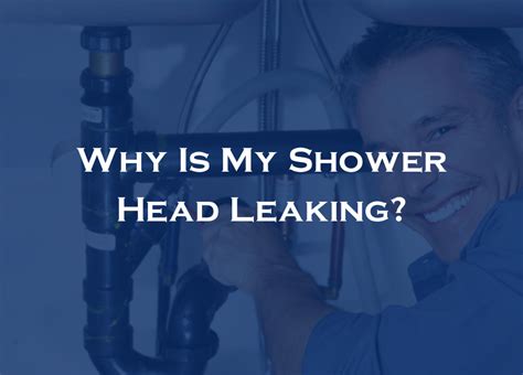 Why Is My Shower Head Leaking? | Five Star Plumbing