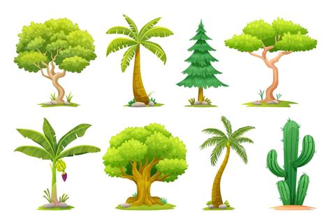 Set Of Different Types Of Trees Illustration 6696112 Vector Art At Vecteezy