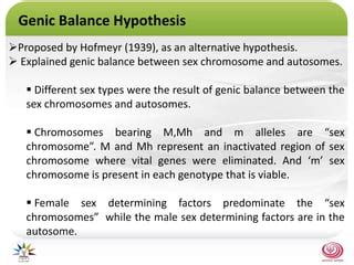 Sex Determination In Papaya PPTX