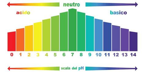 Il Ph Nella Produzione Della Birra