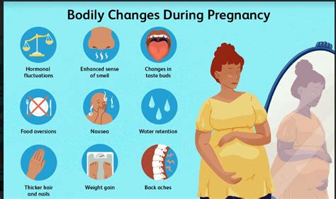 Why Do Pregnant Women Need To Maintain A Healthy Gut Know The Details