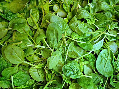 Spinach Health Benefits What Are The Benefits Of Eating Spinach