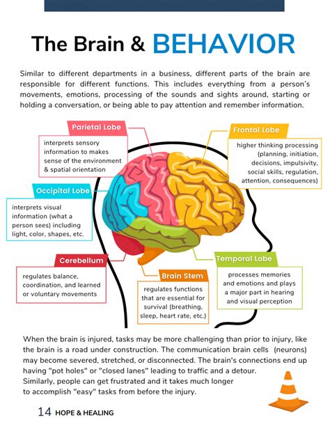 Handouts Materials Brain Injury Association Of North Carolina