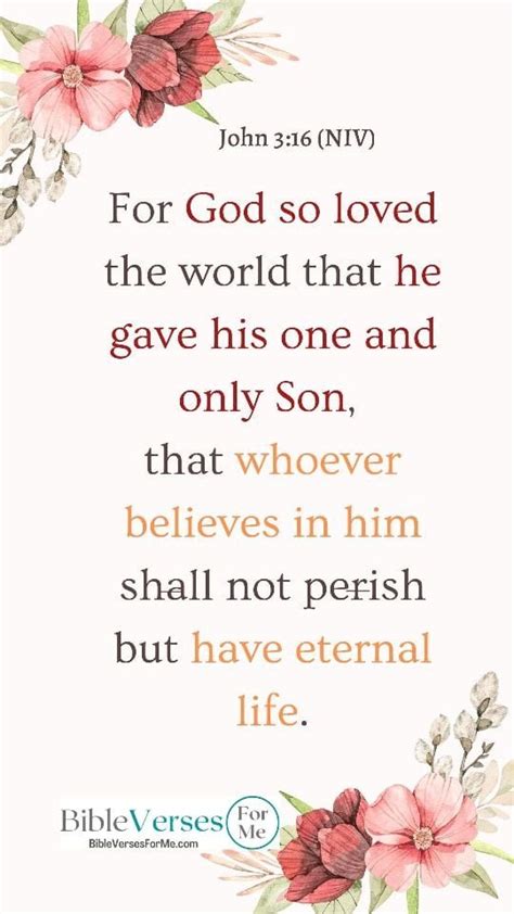 John 316 Bible Verses For Me