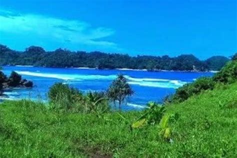 Inilah Daya Tarik Pantai Savana Objek Wisata Hidden Gem Di Malang