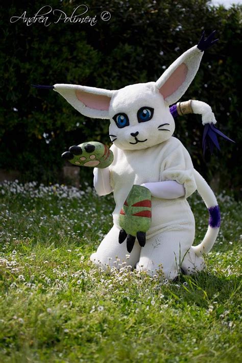 Gatomon Cosplay (Digimon) by MichelaGaggioli on DeviantArt