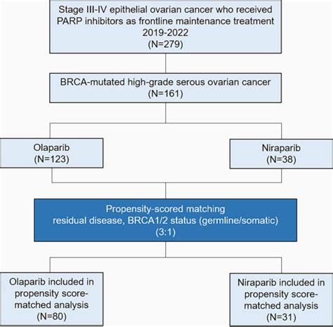 Comparison Of Survival Outcomes Between Olaparib And Niraparib