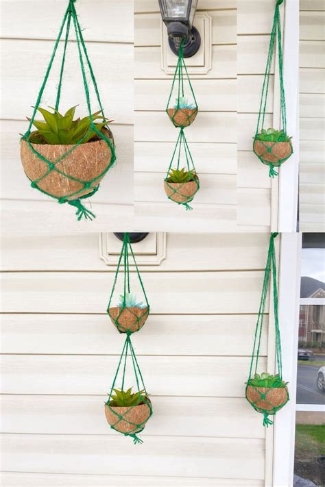 Diy Hanging Succulent Planter Coconut Shell Hanging Planter Coconut