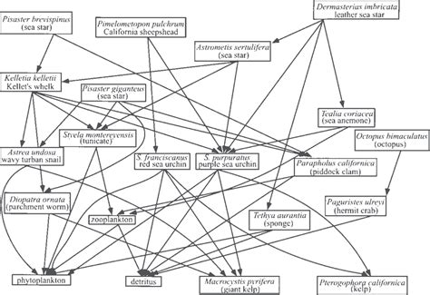 Food web for a southern California kelp forest. Arrows show consumer ...