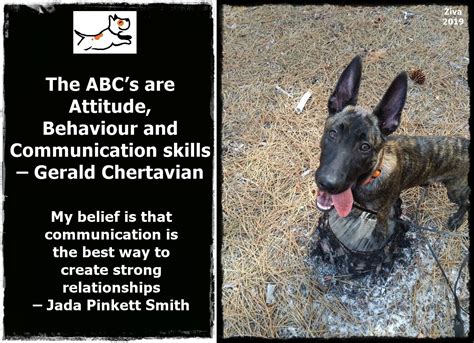 Tony Robbins – To effectively communicate, we must realise that we are ...