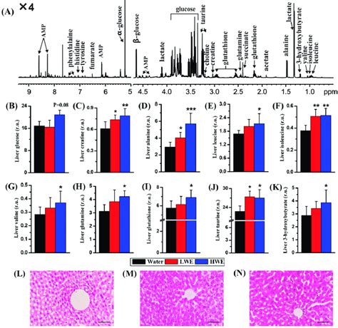 Nmr Based Liver Metabolomic Analysis A A Typical H Nmr Spectrum