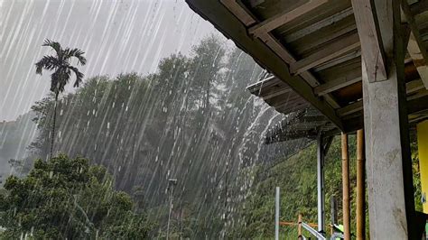 The Sound Of Super Heavy Rain And Storms Is Very Calming For Relaxing