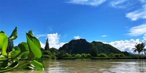 Best Fishing Tour & Trip in Thailand - Jurassic Mountain Resort