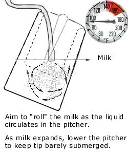 Frothing guide - Great Infusions Co.