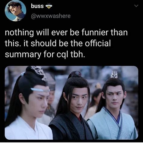 Pin By MTMB On MDZS THE UNTAMED GMDC Drama Memes Untamed Quotes Memes