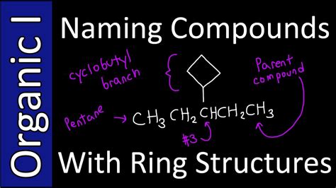 Naming Compounds With Ring Branches Iupac Style Organic Chemistry I