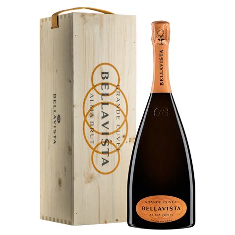 1 bottiglia Magnum Franciacorta Grande Cuvée Alma Brut con cassa in