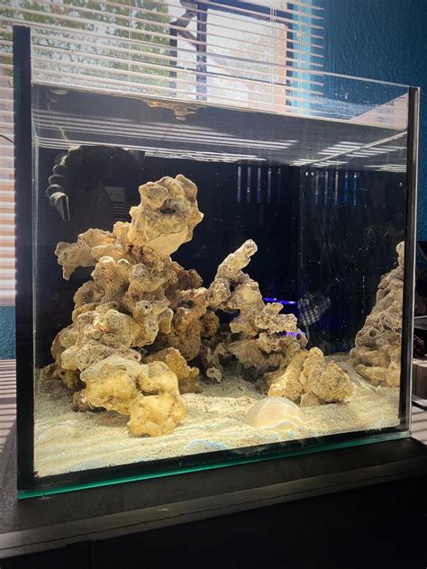 Cube Build Show Off Those Great Cube Tank Aquascapes Page