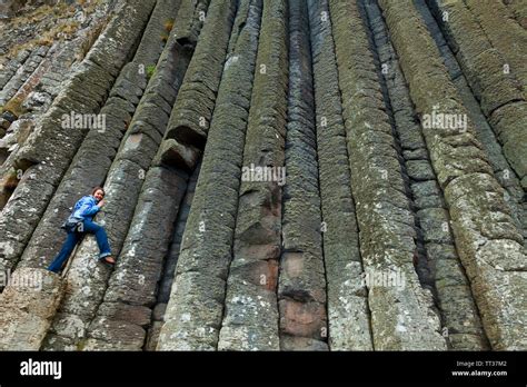 Organ Pipes Basalt Columns The Giants Causeway World Heritage Site