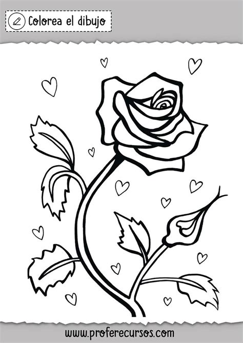 Dibujos De Rosas Para Colorear Láminas De Rosas