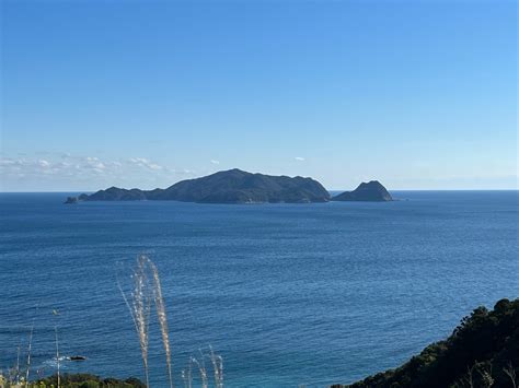 小春日和の南阿波サンライン 1泊2日 徳島～室戸一人旅 その6 1泊2日一人旅