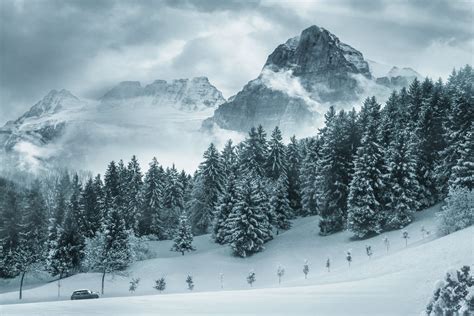 winter landscape  stock photo public domain pictures