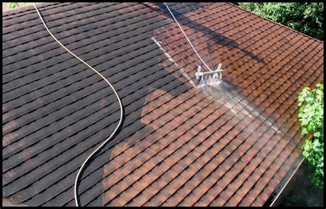 Quality Soft Wash Roof Cleaning In Bainbridge Island Island Roof And