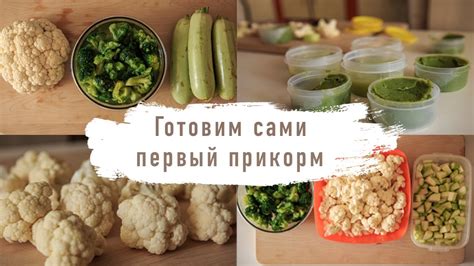 Как приготовить детское питание дома Первый прикорм Готовим сами