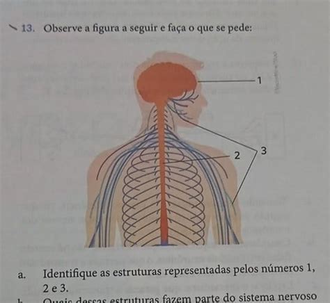 13 Observe A Figura A Seguir E Faça O Que Se Pede 1 2 3 A