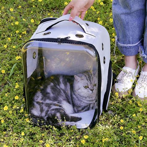 sac à dos pour chat avec bulle transparente cat paradise fr