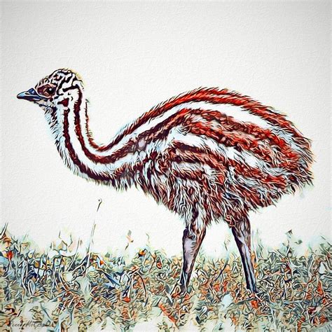 Baby Emu Digital Art By Pennie Mccracken Endless Skys