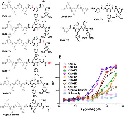 Rapid Lead Discovery Through Iterative Screening Of One Bead One Compound Libraries Acs