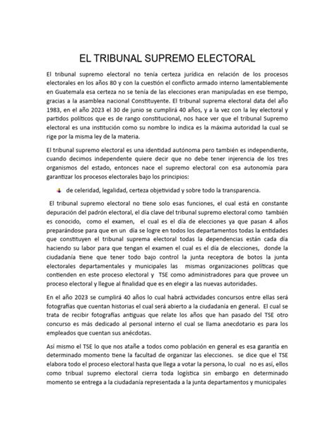 El Tribunal Supremo Electoral 4 Pdf Elecciones Gobierno