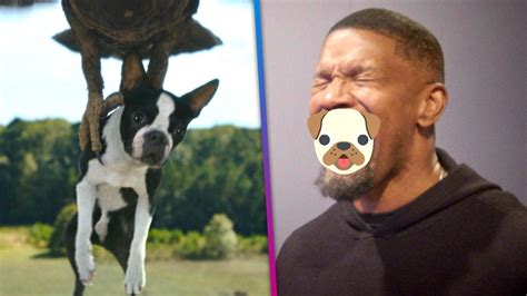 'Strays': See a Behind-the-Scenes Look at Jamie Foxx and Will Ferrell's ...