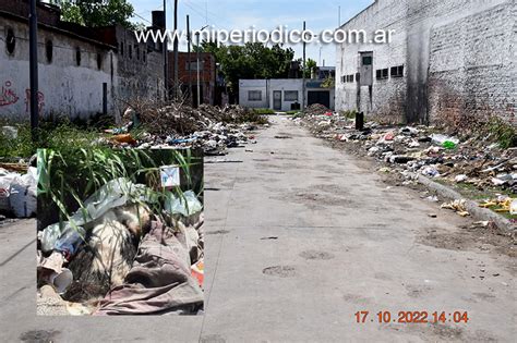 Tres De Febrero Calles Inundadas De Basura Y Perros Muertos Siguen