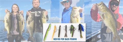 Master Ned Rig For Bass Fishing Proven Techniques Revealed