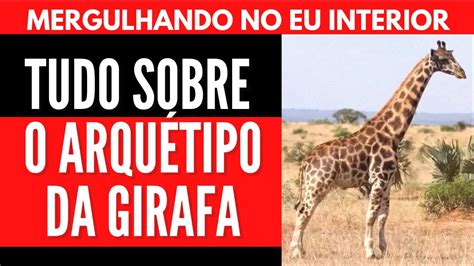 TUDO SOBRE O ARQUÉTIPO DA GIRAFA Will Nascimentto YouTube