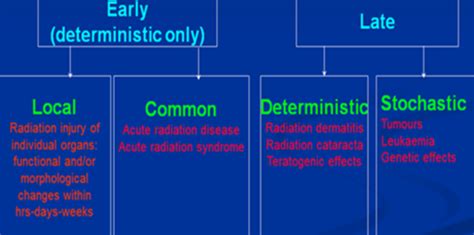 Lecture 5 Early Effects Of Radiation Exposure Flashcards Quizlet