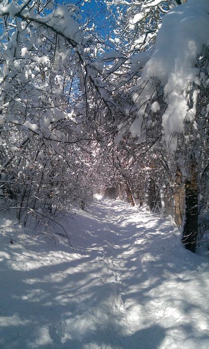 Winter Way Path - Free photo on Pixabay - Pixabay