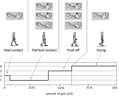 Figure From Instrumented Gait Analysis For An Objective Pre