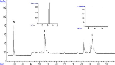 A Selected Ion Monitoring Sim Chromatogram Resulted From Hs Sdmegc Download Scientific