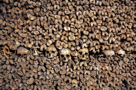 Paris Catacombs History Facts And Tips For Visiting