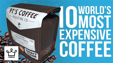 Top 10 Most Expensive Coffee In The World Coffee Daily Tips