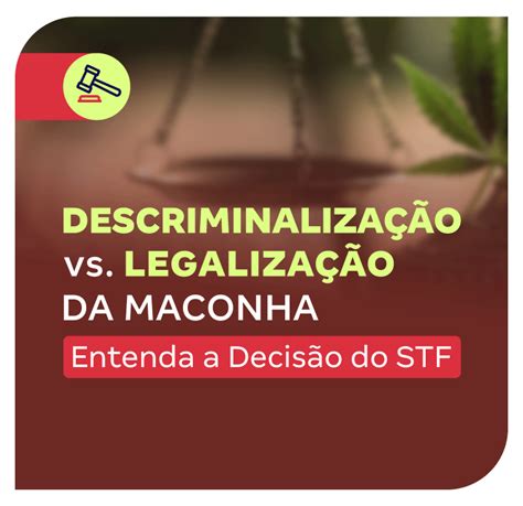 Descriminalização vs Legalização da Maconha Entenda a Decisão do STF