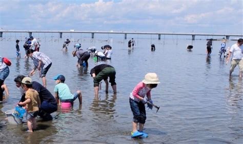 「金田みたて海岸潮干狩り場」潮干狩り＆bbqで一日中遊び尽くそう！ ｜子どもとおでかけ