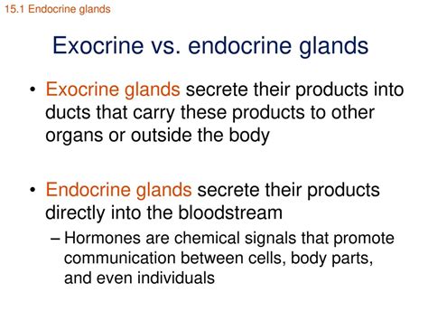 Study Notes Endocrine Glands Defined Exocrine Glands Off